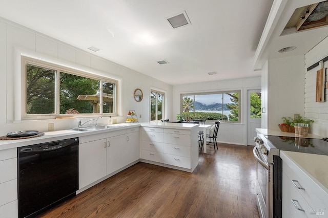 kitchen featuring dark wood finished floors, dishwasher, light countertops, stainless steel range with electric stovetop, and a sink