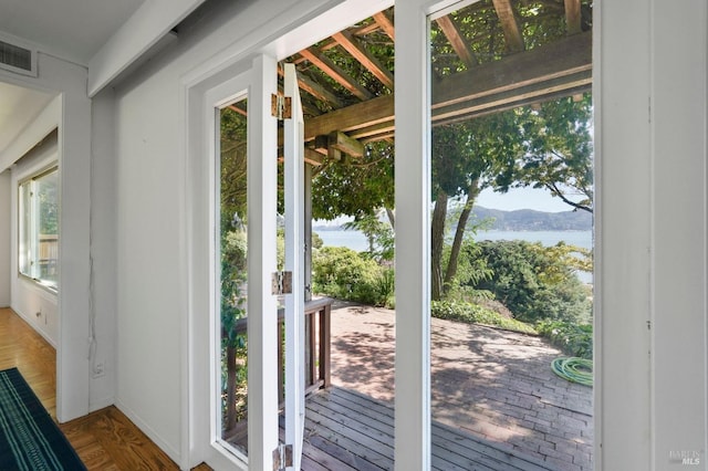 entryway with a water and mountain view, wood finished floors, visible vents, and a wealth of natural light