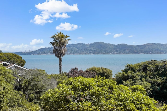 water view with a mountain view