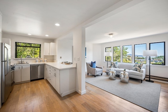 kitchen featuring light wood-type flooring, a sink, open floor plan, stainless steel appliances, and light countertops