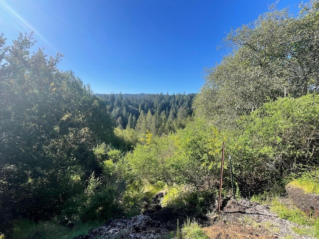 view of landscape featuring a wooded view