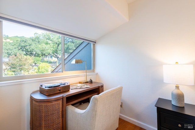 office space featuring baseboards, plenty of natural light, and wood finished floors