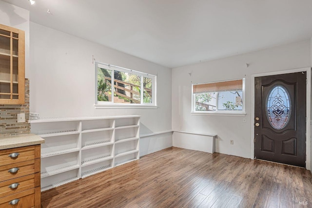 foyer entrance featuring wood finished floors