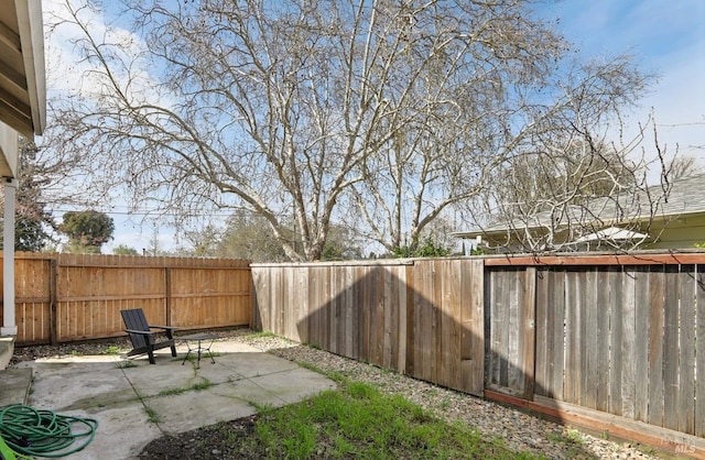 view of yard with a fenced backyard and a patio area