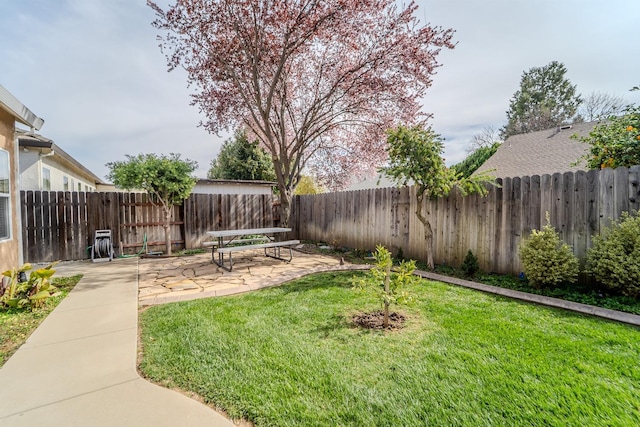 view of yard with a patio and a fenced backyard