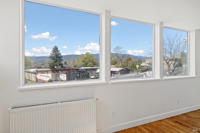 interior space featuring radiator heating unit, wood finished floors, a mountain view, and baseboards