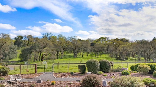 11747 Creek Hollow Rd, Healdsburg, CA 95448 - view of yard featuring a gate and a rural view