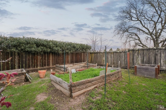 view of yard with a vegetable garden and a fenced backyard