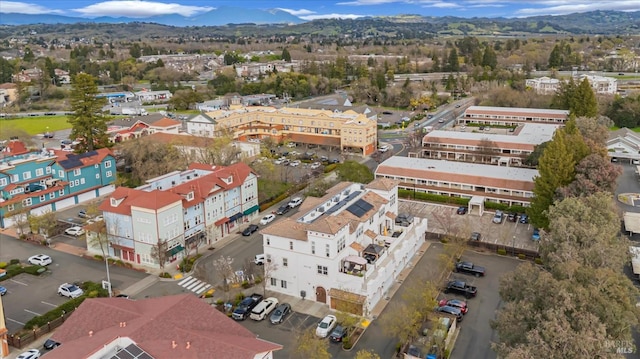 drone / aerial view