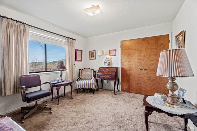 sitting room with carpet flooring and a textured ceiling