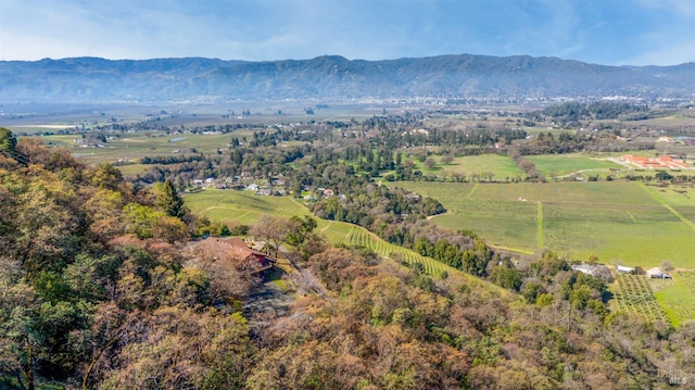 aerial view featuring a mountain view