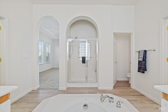 bathroom with toilet, a stall shower, wood finished floors, and vanity