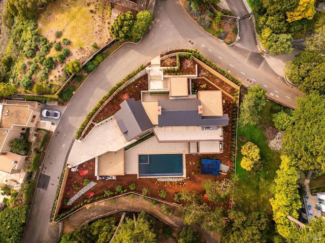 bird's eye view