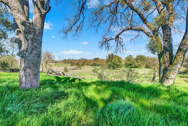 9862 Whalen Rd, Wallace, CA 95252 - view of local wilderness