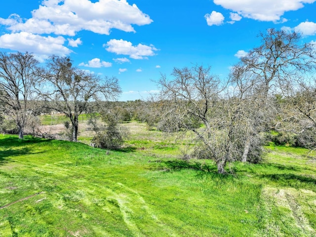 9862 Whalen Rd, Wallace, CA 95252 - view of yard