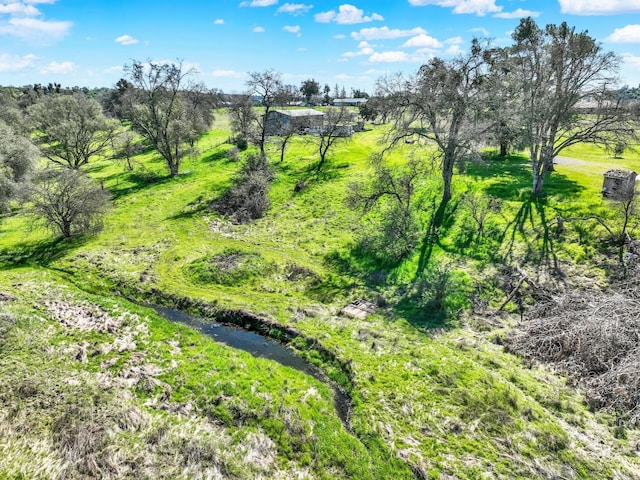 9862 Whalen Rd, Wallace, CA 95252 - view of undeveloped land