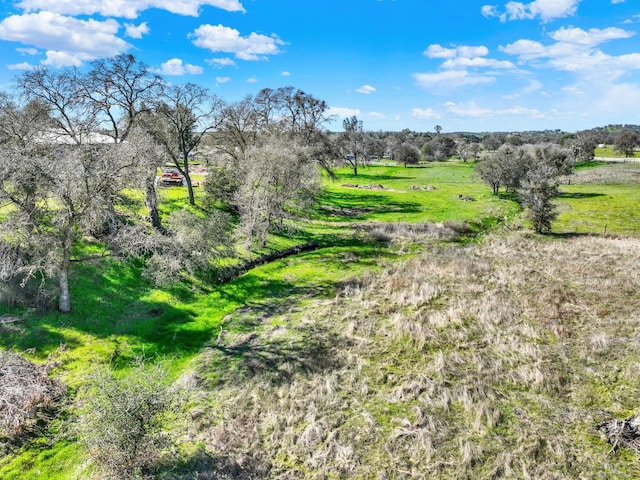 9862 Whalen Rd, Wallace, CA 95252 - view of nature