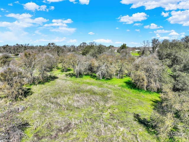 9862 Whalen Rd, Wallace, CA 95252 - view of local wilderness