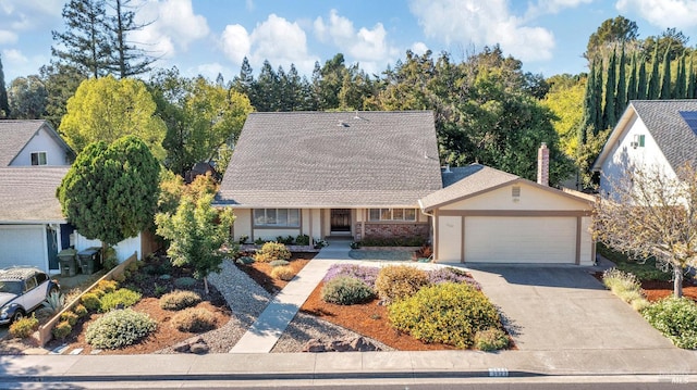 view of front of home featuring an attached garage, roof with shingles, and driveway