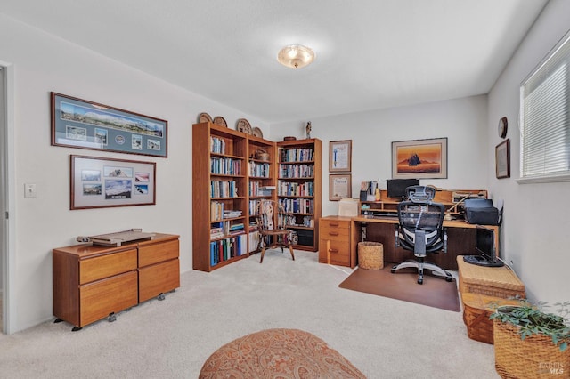 home office featuring light colored carpet