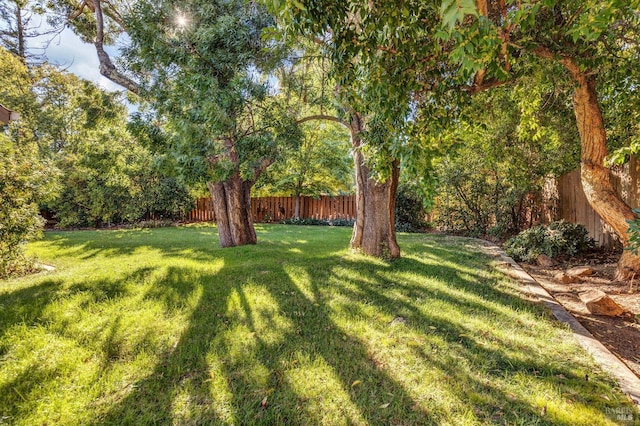 view of yard with fence