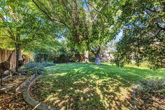 view of yard featuring a fenced backyard