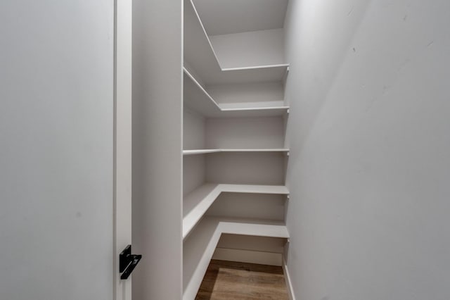 spacious closet featuring wood finished floors