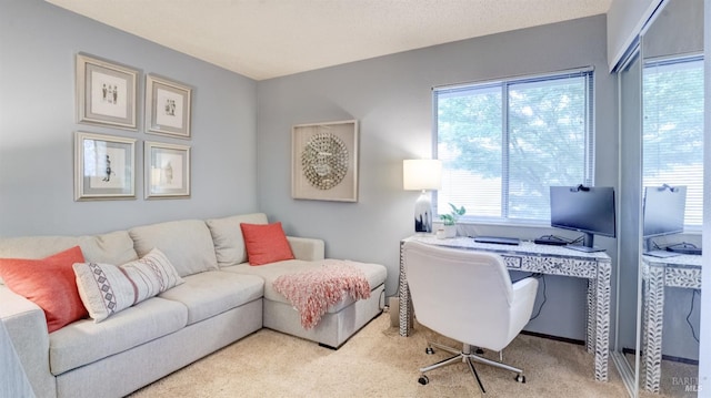 office space with carpet flooring