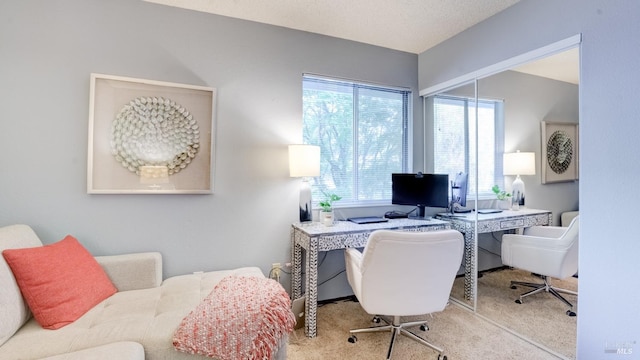 office with a textured ceiling and carpet