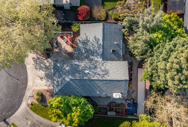 drone / aerial view