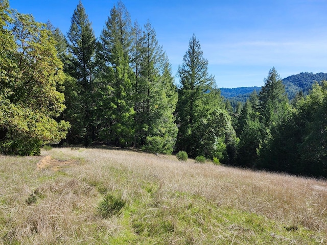 view of mountain feature featuring a view of trees