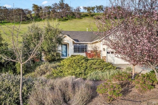 view of front of home featuring a front yard, a garage, and roof with shingles