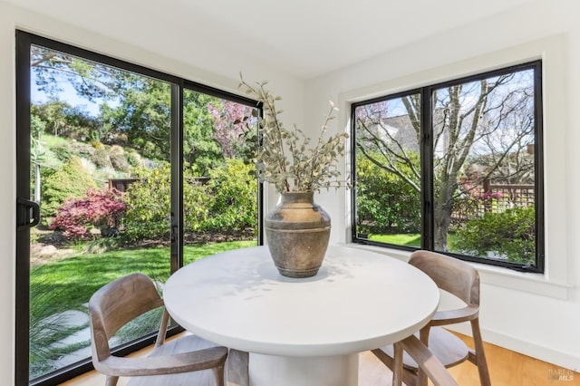 dining room with a healthy amount of sunlight and wood finished floors