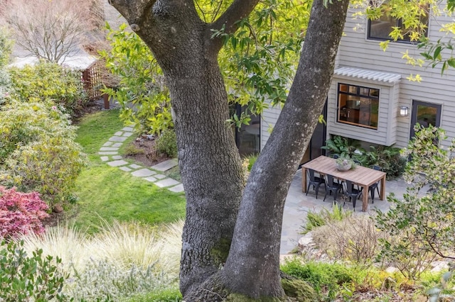 view of yard featuring a patio