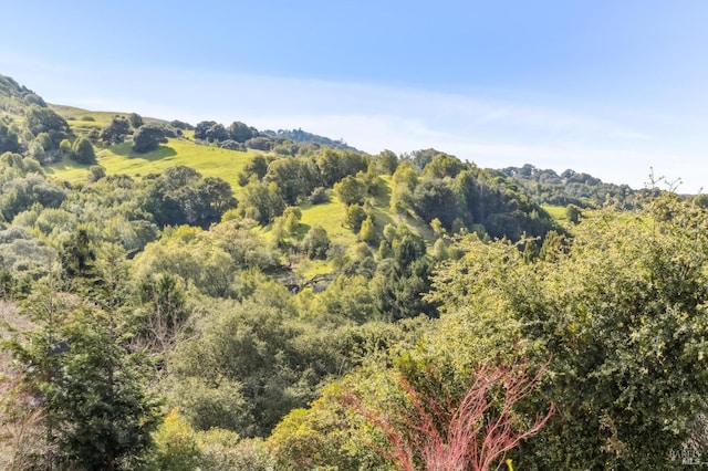 view of landscape featuring a forest view