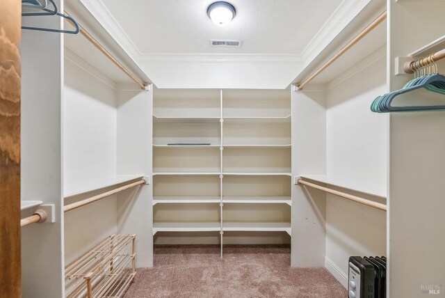 walk in closet with visible vents and carpet floors