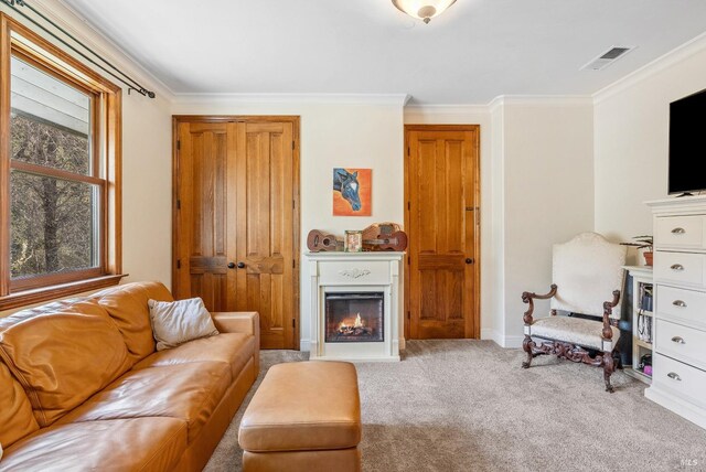 living room with carpet, baseboards, visible vents, a warm lit fireplace, and ornamental molding