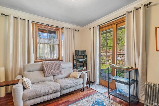 living area featuring crown molding and wood finished floors