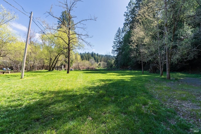 view of yard featuring a view of trees