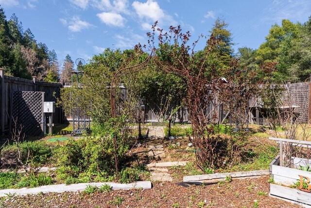 view of yard with a forest view