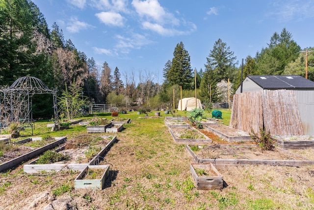 view of yard with a garden and an outbuilding