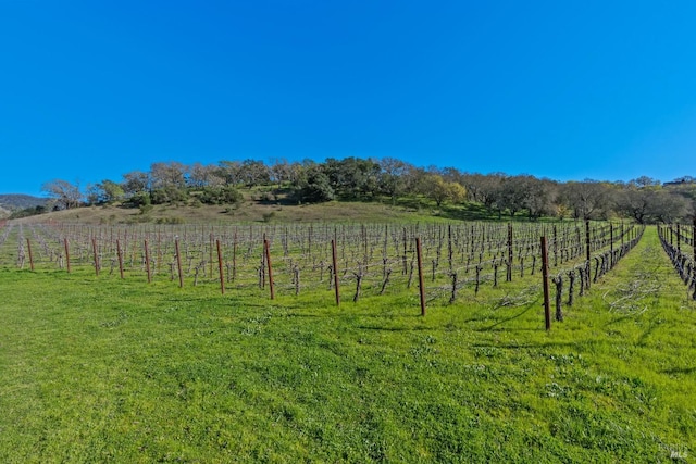 view of yard with a rural view and fence