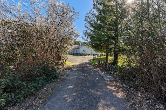 view of street with driveway