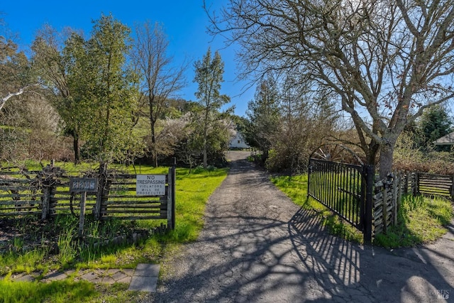 view of road with a gate, driveway, and a gated entry