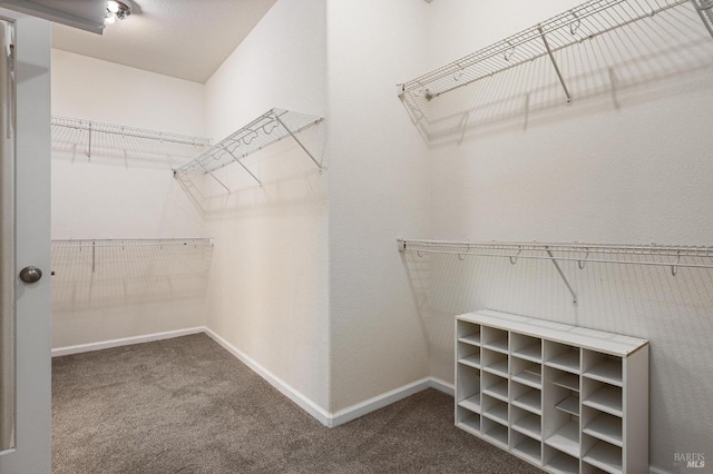 2550 Duncan St, Dixon, CA 95620 - walk in closet with carpet
