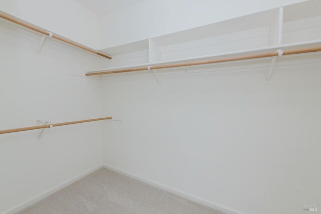 walk in closet featuring light colored carpet