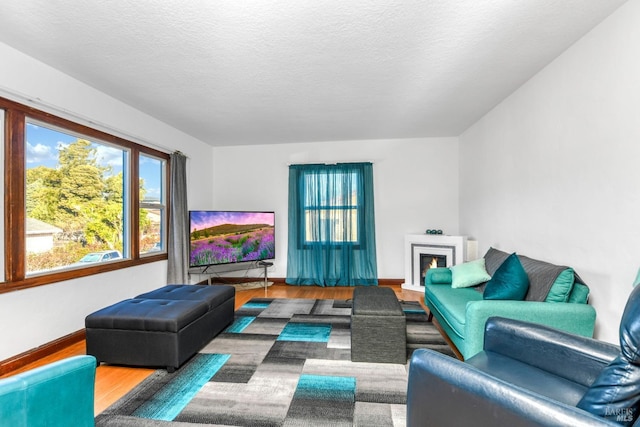 living room featuring a textured ceiling, baseboards, and wood finished floors