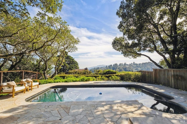 view of swimming pool featuring a fenced in pool, a patio, and fence