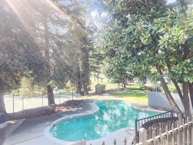 view of swimming pool featuring a patio area, fence, and a fenced in pool