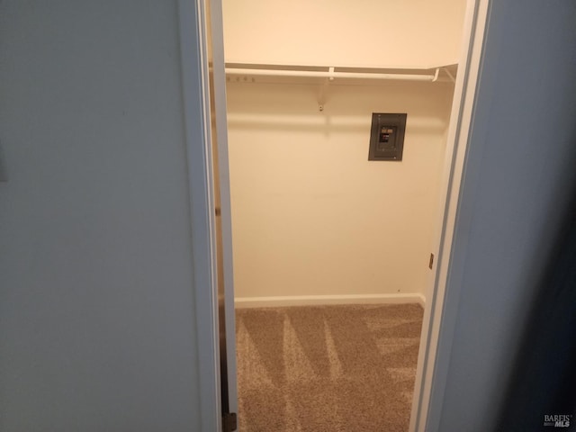 spacious closet featuring carpet floors